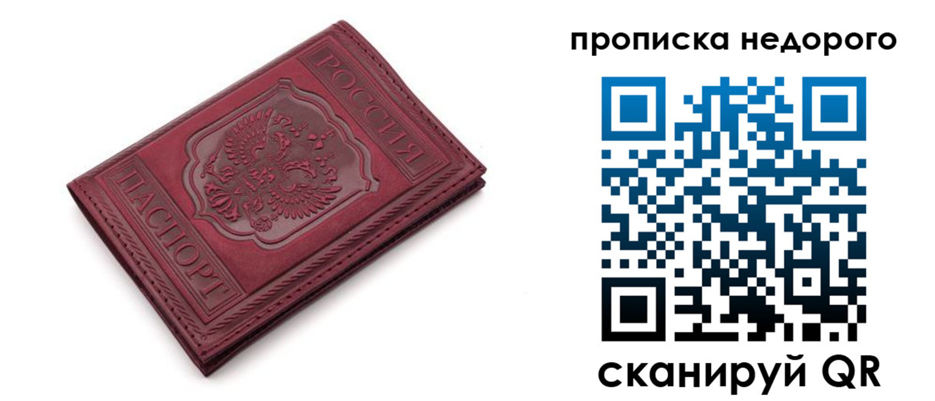 прописка гарантия в Полярных Зорях